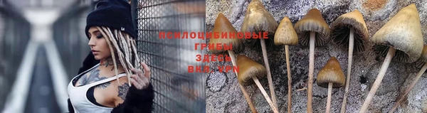 крисы Верхнеуральск