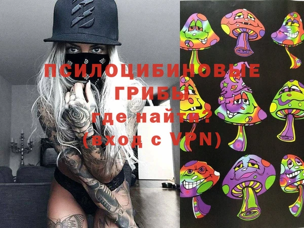 винт Верея