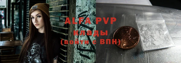 винт Верея