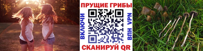 Галлюциногенные грибы мицелий  Южа 